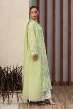 Qalamkar QQL-05 Ayana - Back View