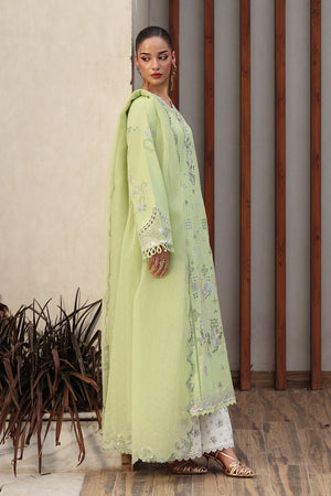 Qalamkar QQL-05 Ayana - Back View